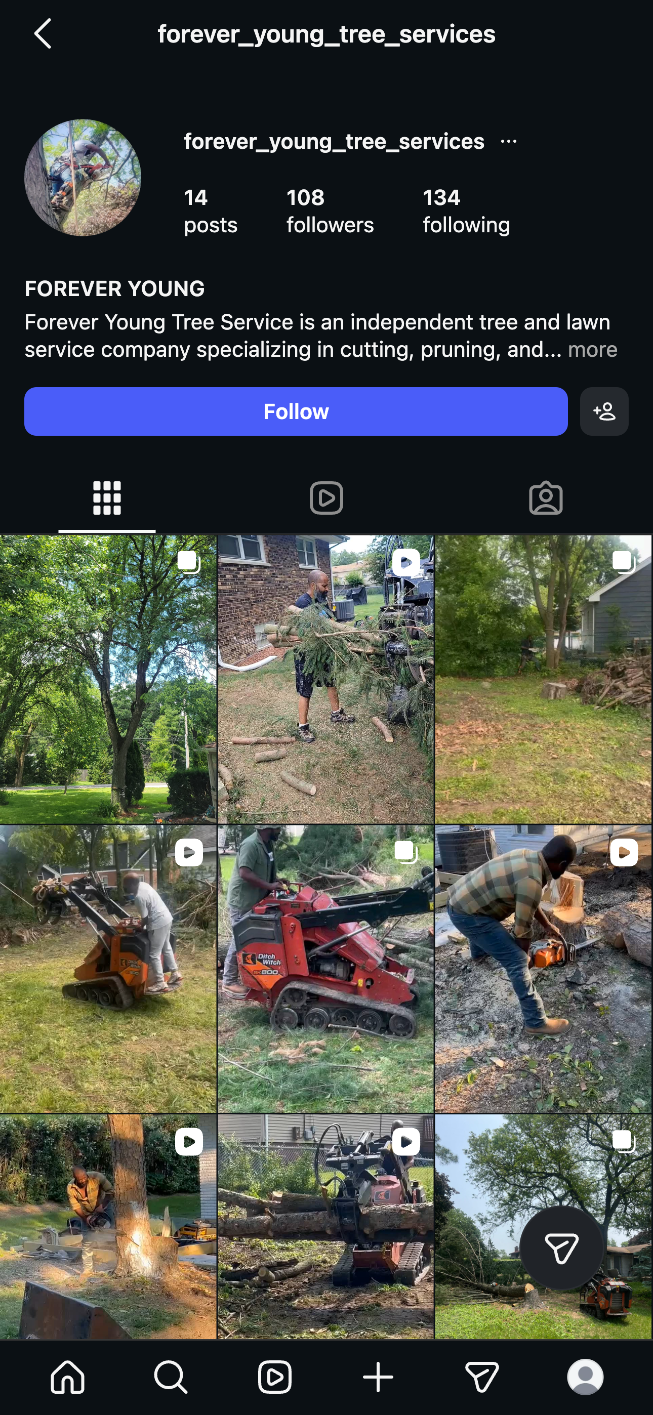 Forever Young Tree Services Instagram profile